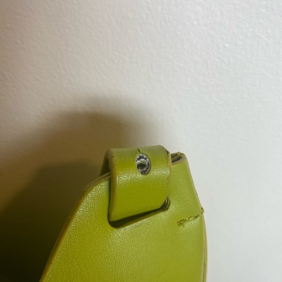 Everlane Cactus Leather Hobo Bag - Picture 6 of 13